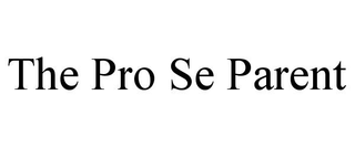 THE PRO SE PARENT