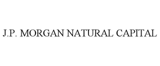 J.P. MORGAN NATURAL CAPITAL
