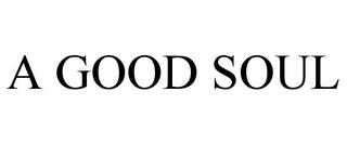 A GOOD SOUL