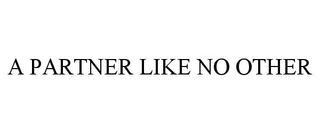 A PARTNER LIKE NO OTHER