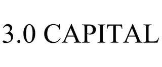 3.0 CAPITAL