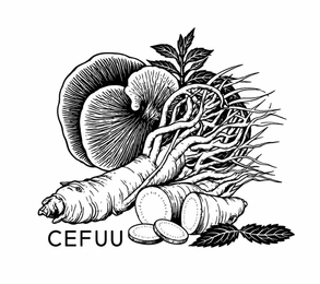 CEFUU