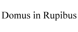 DOMUS IN RUPIBUS
