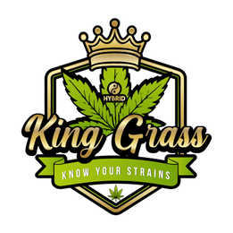 KING GRASS