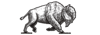 Image Trademark