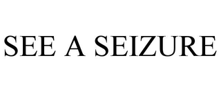 SEE A SEIZURE