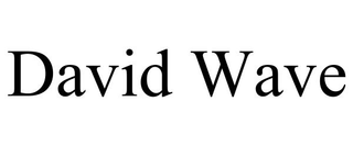 DAVID WAVE