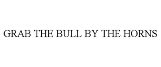 GRAB THE BULL BY THE HORNS
