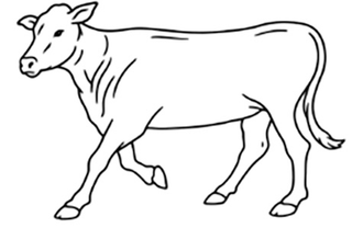 Image Trademark