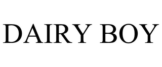 DAIRY BOY