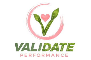 VALIDATE PERFORMANCE