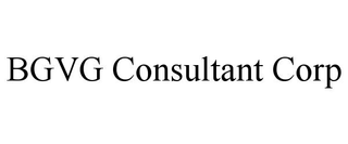 BGVG CONSULTANT CORP