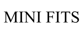 MINI FITS