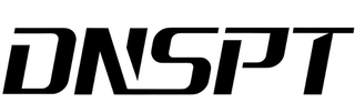 DNSPT