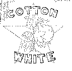 COTTON WHITE
