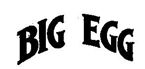 BIG EGG