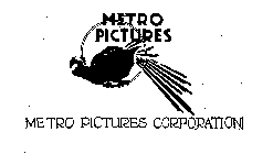 METRO PICTURES METRO PICTURES CORPORATION