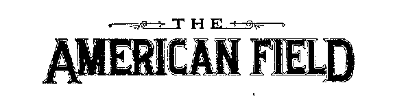 THE AMERICAN FIELD