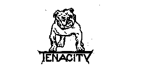 TENACITY