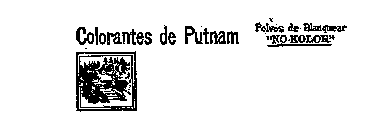 COLORANTES DE PUTNAM POLVOS DE BLANQUEAR