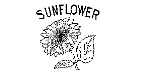 SUNFLOWER