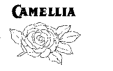 CAMELLIA