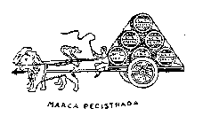 MARCA REGISTRADA