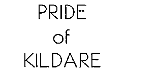 PRIDE OF KILDARE