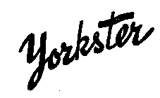 YORKSTER