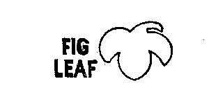 FIG LEAF