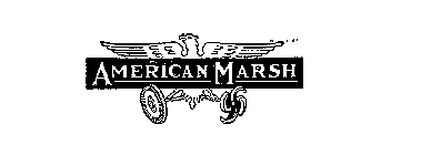 AMERICAN MARSH