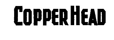 COPPER HEAD