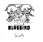 BLUEBIRD