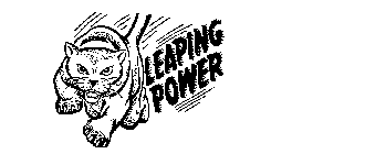 LEAPING POWER