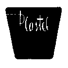 PLASTEL
