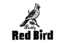 REDDY RED BIRD