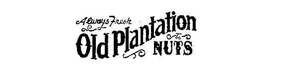 OLD PLANTATION NUTS ALWAYS FRESH