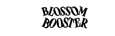 BLOSSOM BOOSTER