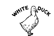 WHITE DUCK