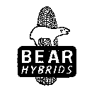 BEAR HYBRIDS
