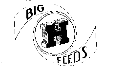 BIG H FEEDS