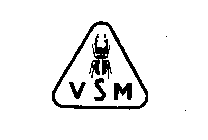 VSM