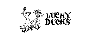 LUCKY DUCKS