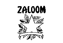 ZALOOM