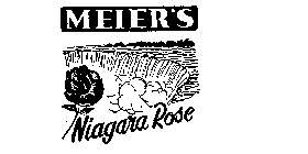 MEIER'S NIAGARA ROSE