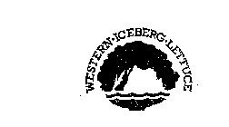 WESTERN-ICEBERG-LETTUCE