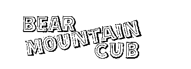 BEAR MOUNTAIN CUB