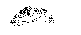 BRIGGS-WAY