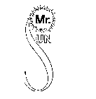 MR. SUN