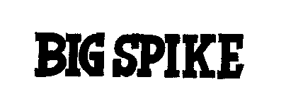 BIG SPIKE